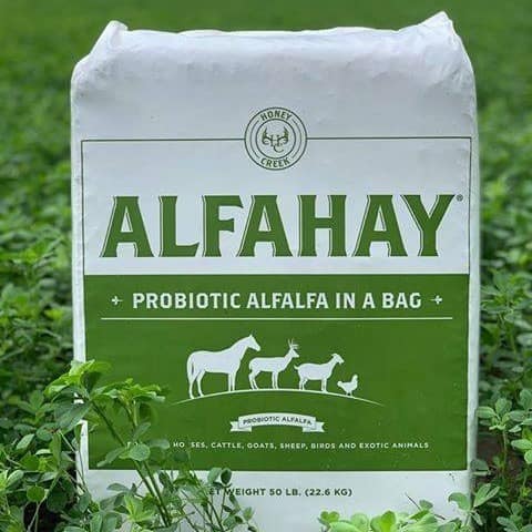 WHAT IS ALFAHAY?
Alfahay comes in a 50 pound bag and is the closest thing to fresh cut alfalfa. Alfahay is a NON-GMO alfalfa. Alfahay is for horses, cattle, pigs, deer, goats, sheep, birds, and exotics. Unlike other feeds that are dried, Alfahay is cut and packed with its natural moisture. This locks in all the fresh nutrition of the plant. Alfahay then undergoes a fermentation process after being bagged to produce beneficial yeasts and bacteria. That's why we call it "Probiotic Alfalfa In A Bag"
